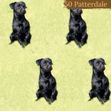 Dog Breeds Blanket