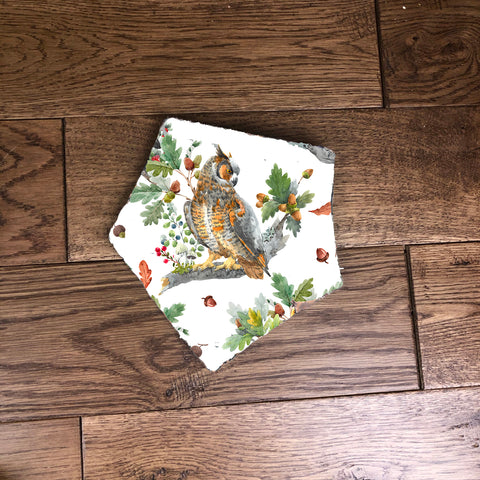 Bandana dribble bib - The wise owl