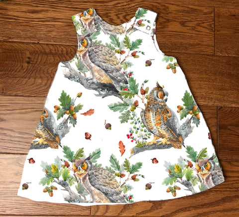 The wise owl A-Line Dress 0-4 years