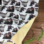 The Little Fawn Curious otters Blanket