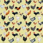 Clucking fabulous shorts with rolled cuffs 0-4 years
