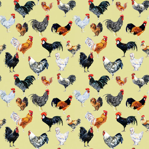 Clucking fabulous shorts with rolled cuffs 0-4 years