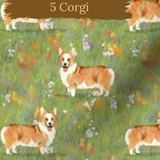 Dog Breeds shorts with rolled cuffs 0-4 years