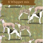 Dog Breeds short cuffed Romper 0-4 years
