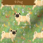 Dog Breeds shorts with rolled cuffs 0-4 years