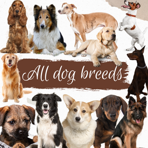 Dog Breeds romper with rolled cuffs 0-4 years