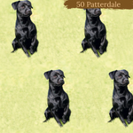 Dog Breeds romper with rolled cuffs 0-4 years
