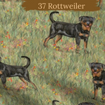 Dog Breeds romper with rolled cuffs 0-4 years
