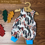 Dog Breeds Romper 0-4 years