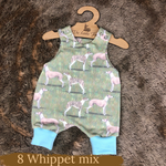 Dog Breeds Romper 0-4 years