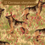 Dog Breeds A-Line Dress 0-4 years