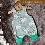Dog Breeds Romper 0-4 years