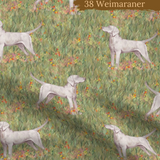 Dog Breeds Bummies