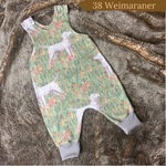 Dog Breeds Romper 0-4 years