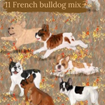 Dog Breeds romper with rolled cuffs 0-4 years