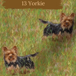 Dog breeds cable knit topped dress