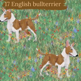 Dog Breeds romper with rolled cuffs 0-4 years