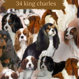 Dog Breeds Bandana dribble bib